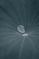 C7853BD3-567B-45C1-9FF3-AB6DC2D894C8/L0/001