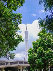 4B7B5A5F-158C-4335-A215-BAA9408BE2F5/L0/001