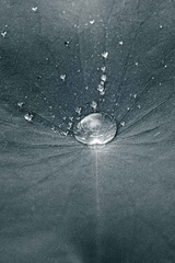 A5D80CEB-CA54-4131-92ED-D9DD0B82EE1C/L0/001