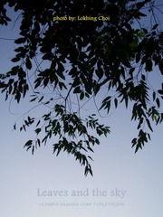 sky.jpg