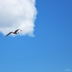 DSC_1557.jpg