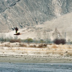DSC_1613.jpg