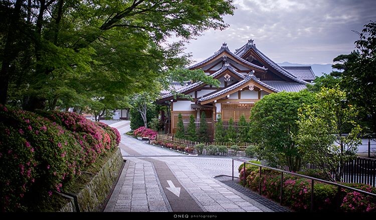 8_DSC6219<br />

