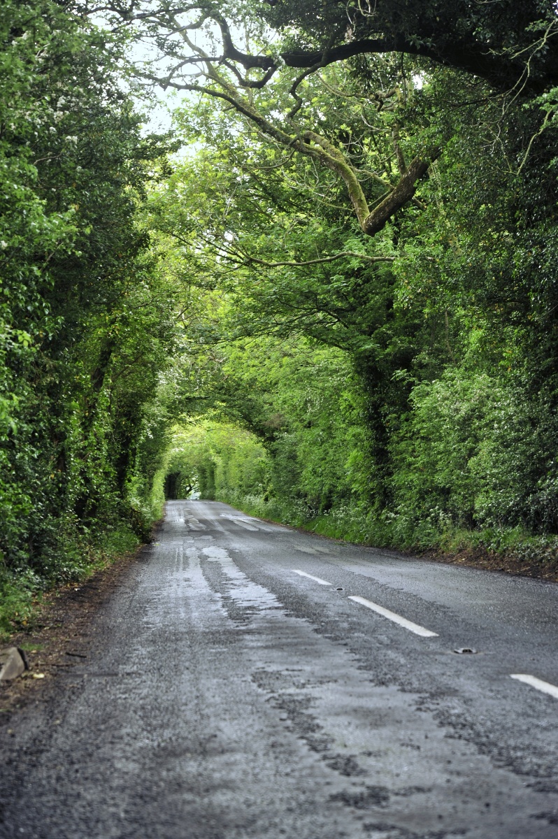 黑暗森林无尽的路