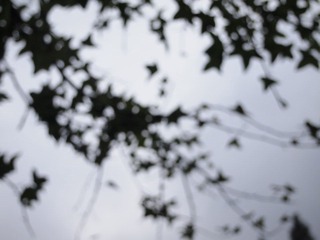 PB190328.JPG