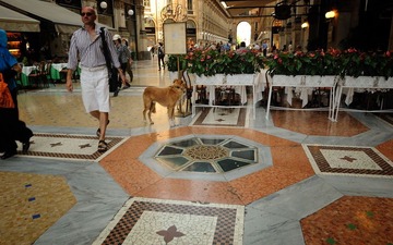 Galleria Vittorio Emanuele II
