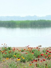 90AB9FA8-28DE-4DFB-A27D-CCD96FA9F311/L0/001