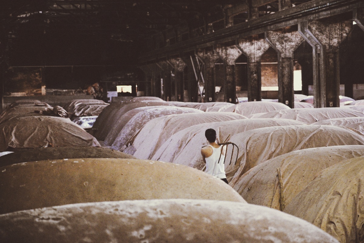 五粮液五〇五车间最靓的仔