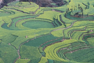 层层叠叠