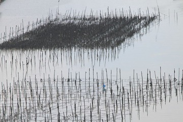 水画4