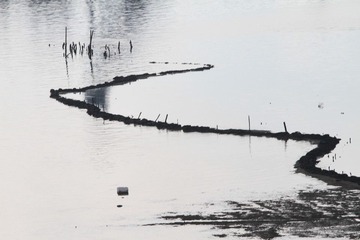 水画2