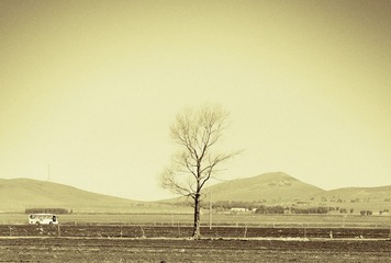 NEV_4269