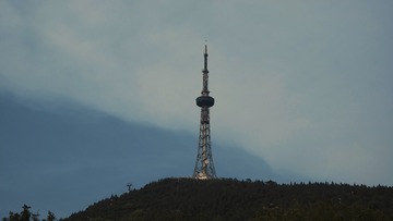 1646933