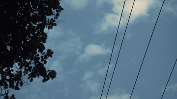 1581812