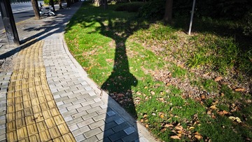 1000024350