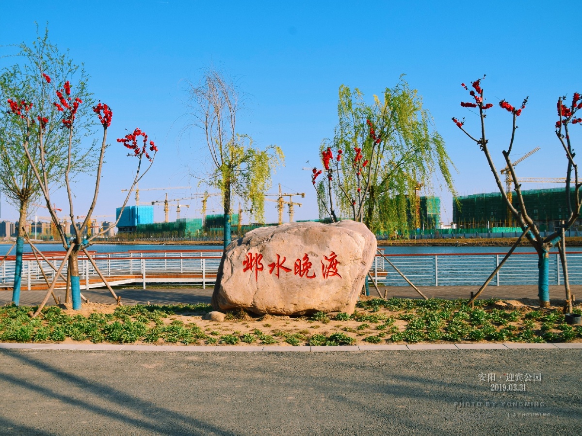 安阳迎宾公园掠影