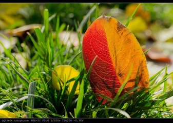 nEO_IMG_DSC09720.jpg