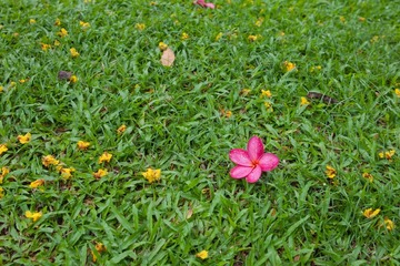 DSC02218.jpg
