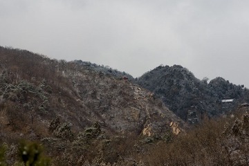 DSC07811.jpg