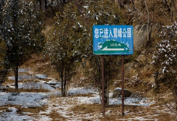 DSC07817.jpg
