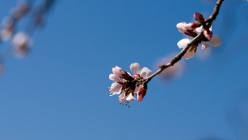 DSC08014.jpg