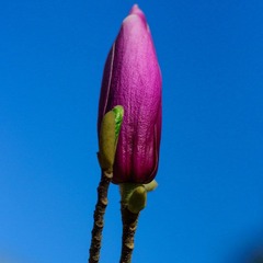 DSC02237.jpg