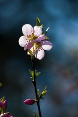 DSC02305.jpg