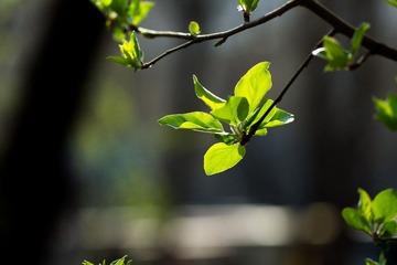 DSC02314.jpg