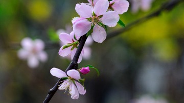 DSC02389.jpg