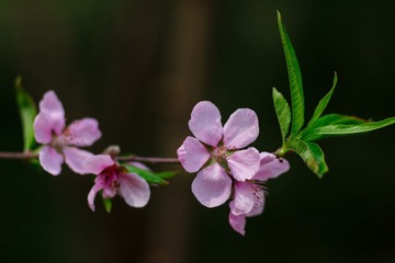 DSC02406.jpg