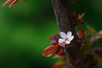 DSC02408.jpg