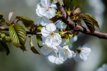 DSC08309.jpg