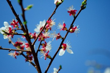 DSC08323.jpg