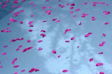 DSC03096.jpg