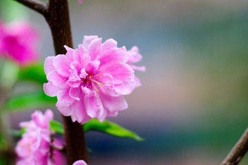 DSC03100.jpg
