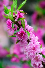 DSC03102.jpg
