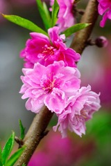 DSC03112.jpg