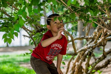DSC08717.jpg