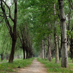 DSC09040.jpg