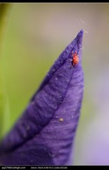 nEO_IMG_DSC09069.jpg
