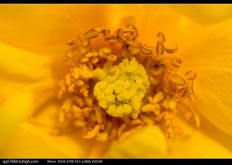 nEO_IMG_DSC09086.jpg