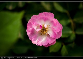 nEO_IMG_DSC09095.jpg