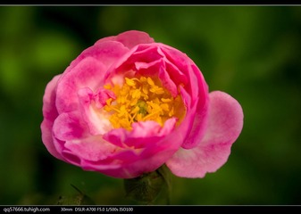 nEO_IMG_DSC09100.jpg