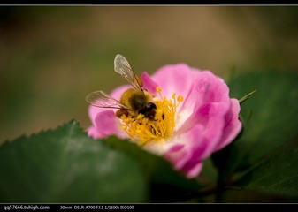 nEO_IMG_DSC09108.jpg