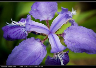 nEO_IMG_DSC09203.jpg