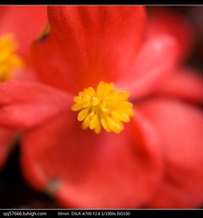 nEO_IMG_DSC09281.jpg