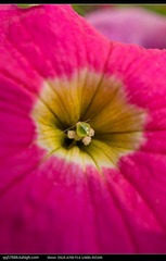 nEO_IMG_DSC09311.jpg