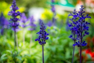 DSC04144.jpg