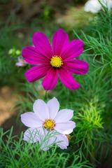 DSC04149.jpg