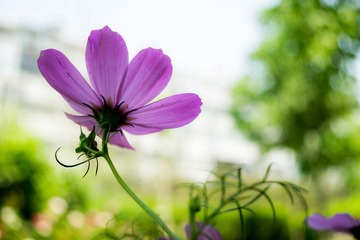 DSC04152.jpg
